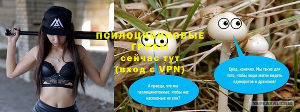 СК Чистополь