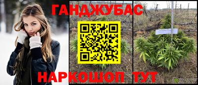 сатива Коммунар