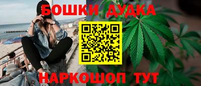 сатива Коммунар