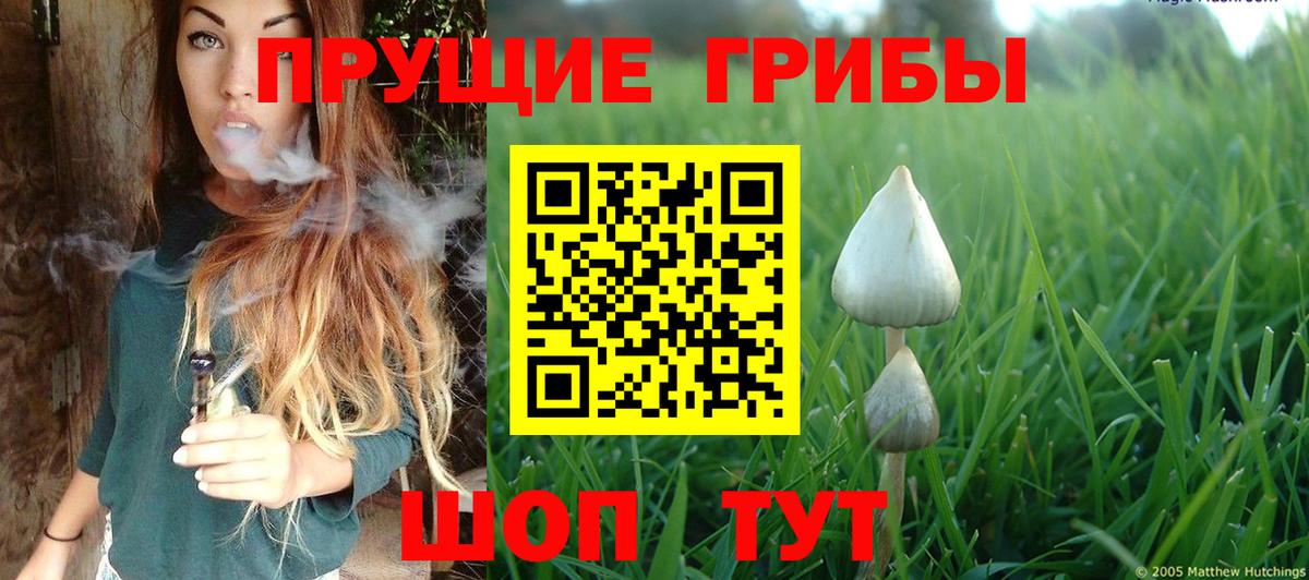Сочи  Галлюциногенные грибы мицелий  Псилоцибиновые грибы MAGIC MUSHROOMS  Вход с VPN 